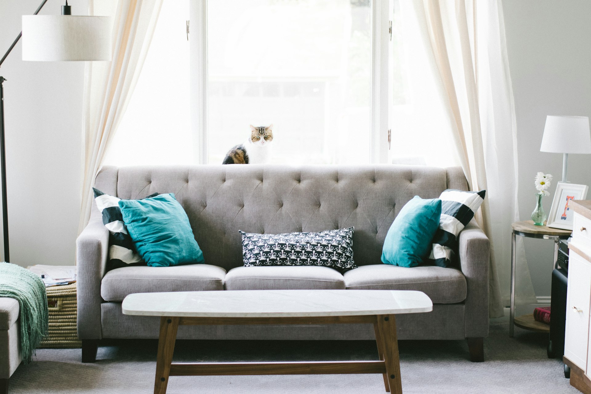 Bright modern living room with neutral tones and natural light flooding through large windows