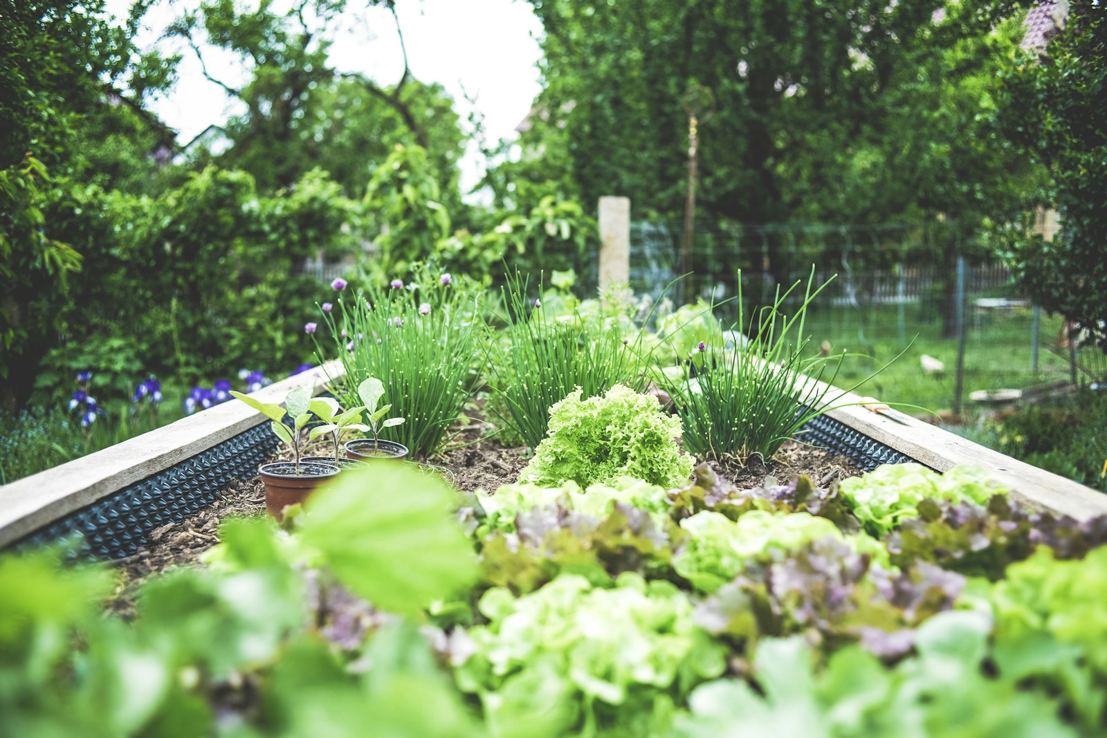Bright spring garden with fresh mulch and colorful flowers in front of a home